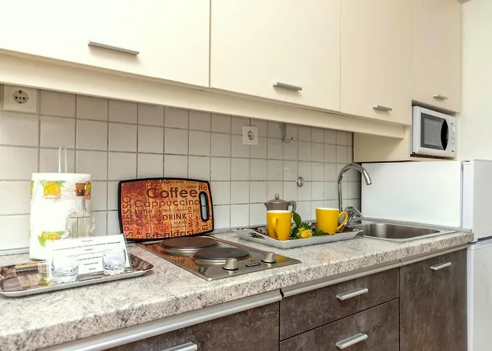 Kremenici דירה מאלינסקה